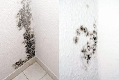 你能把浴室里的霉菌涂掉吗